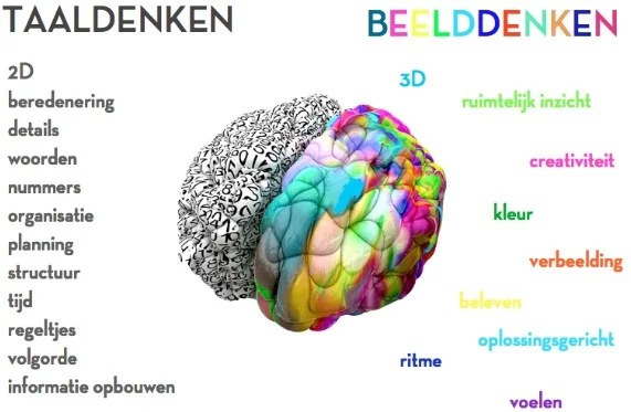 Illustratie van de hersenhelften en hoe beelddenken werkt