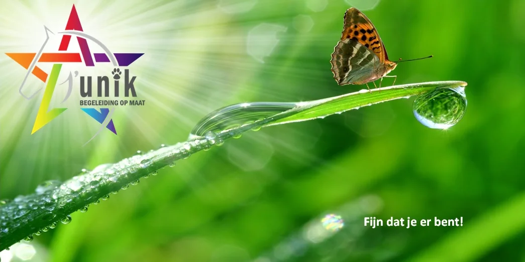 Junik Leerbegeleiding logo